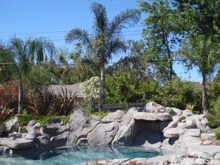 6059 Woodhaven Ave, Carmichael, CA 95608 photo 16