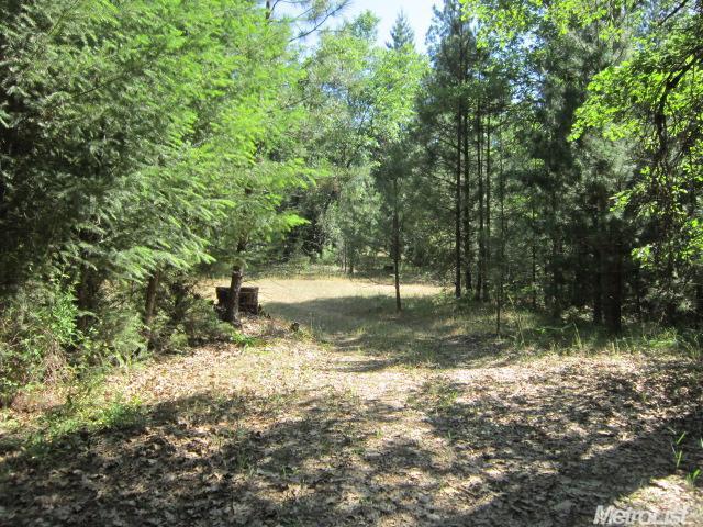 1700 Twitchell Rd, Placerville, CA 95667 photo 9