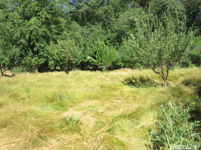 1700 Twitchell Rd, Placerville, CA 95667 photo 7