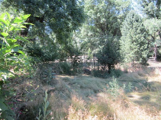 1700 Twitchell Rd, Placerville, CA 95667 photo 10