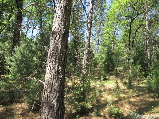 1700 Twitchell Rd, Placerville, CA 95667 photo 12