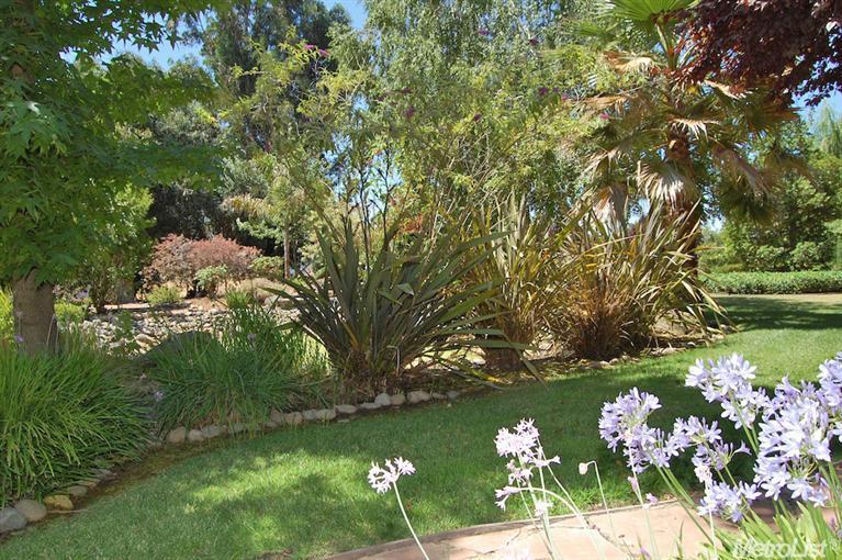 10312 Davis Rd, Wilton, CA 95693 photo 23