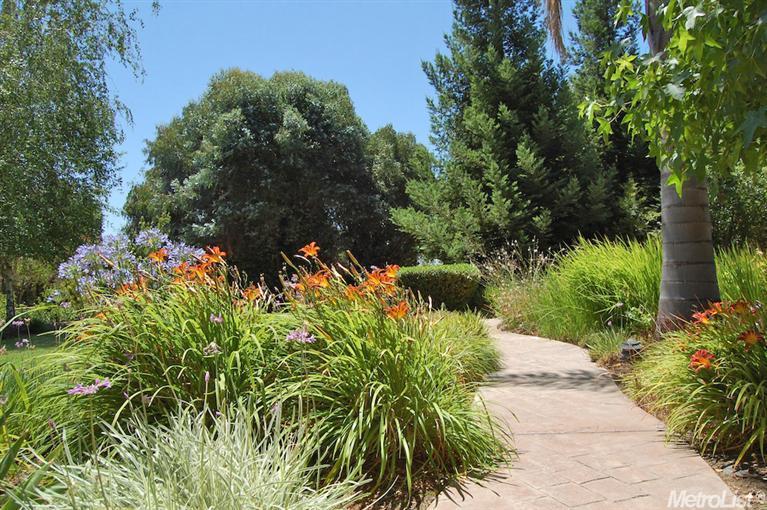 10312 Davis Rd, Wilton, CA 95693 photo 22