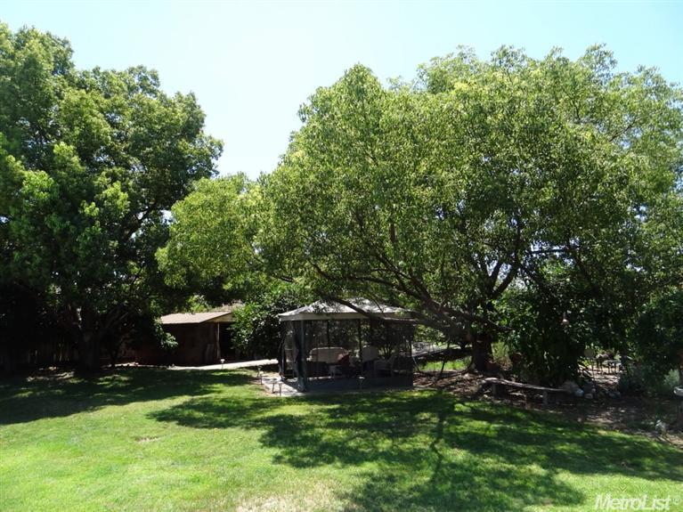 2041 Drew Ave, Turlock, CA 95382 photo 21