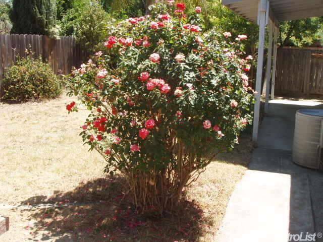 521 Ramsey Dr, Modesto, CA 95356 photo 8
