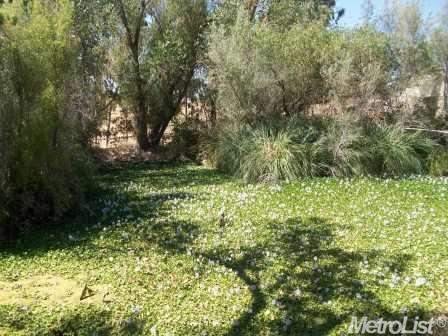 11891 Rising Rd, Wilton, CA 95693 photo 16