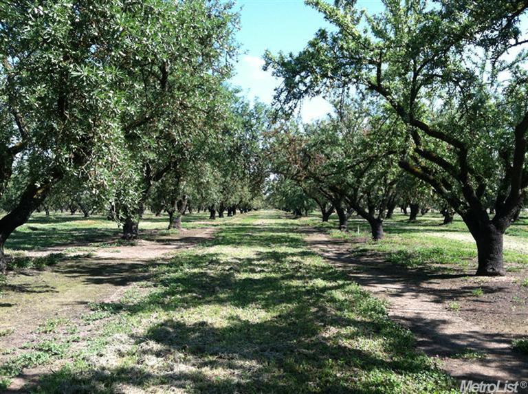7519 Yosemite Blvd, Modesto, CA 95357 photo 4