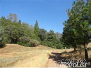 5645 Doster, Mountain Ranch, CA 95246 photo 9
