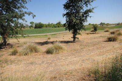 2723 Rockwell Dr, Davis, CA 95618 photo 23