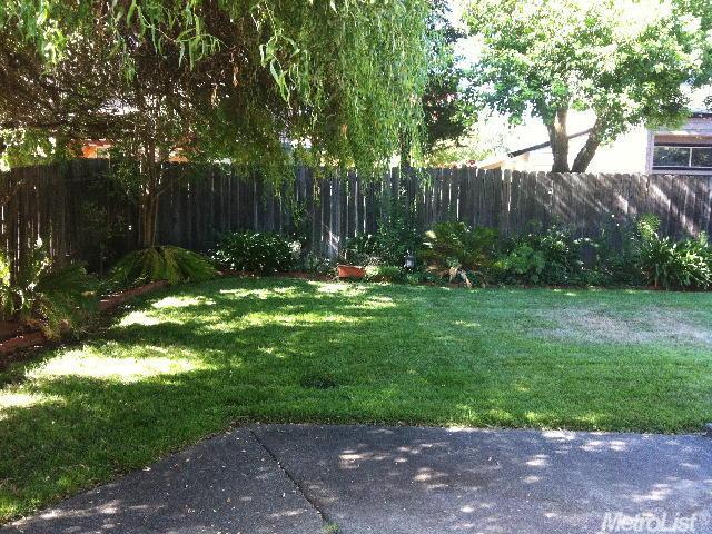 521 Flicker Ave, Davis, CA 95616 photo 12