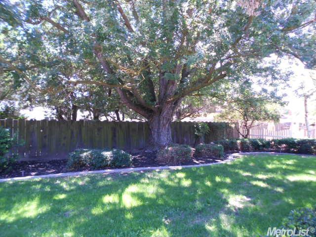 508 Barringham Ln, Modesto, CA 95350 photo 24