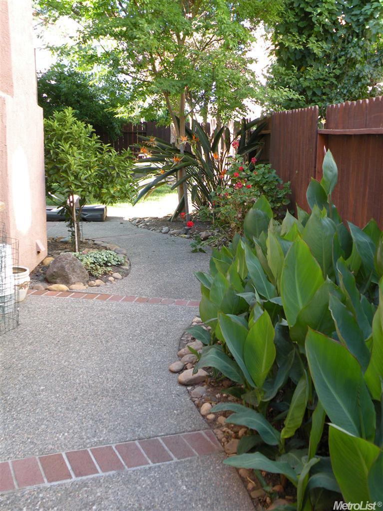 4900 Mapleplain Ave, Elk Grove, CA 95758 photo 4