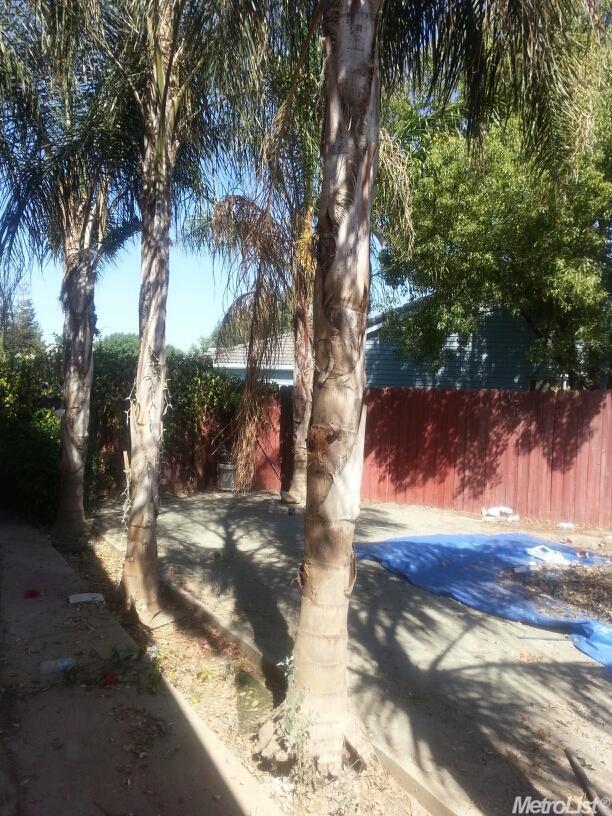 1304 Thomasnell Way, Ceres, CA 95307 photo 9
