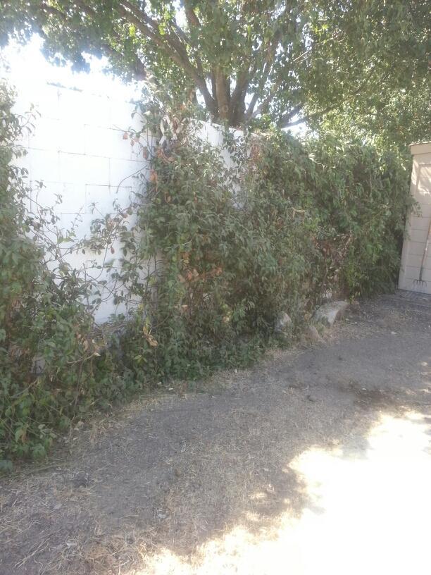 1304 Thomasnell Way, Ceres, CA 95307 photo 24