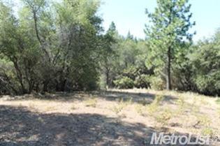 15711 Meadowlark Ln, Sutter Creek, CA 95685 photo 12
