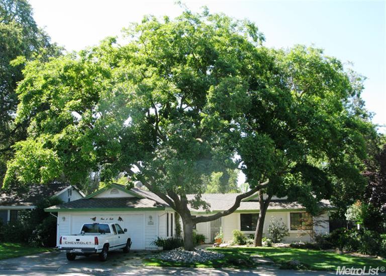 4954 Kurz Cir, Carmichael, CA 95608 photo 1
