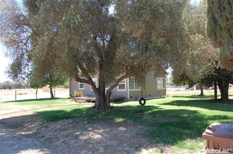 8311 Dillard Rd, Wilton, CA 95693 photo 2