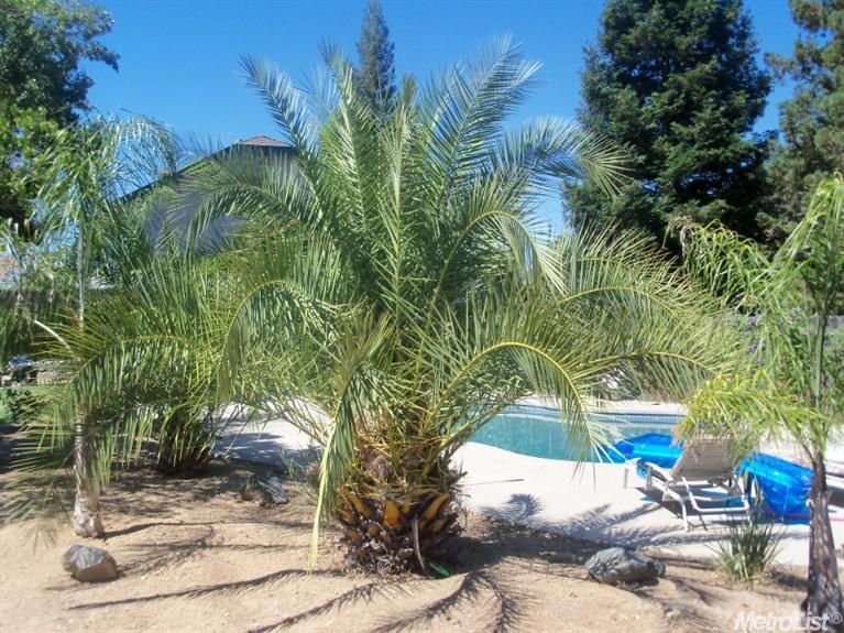 101 Goodell Rd, Folsom, CA 95630 photo 8