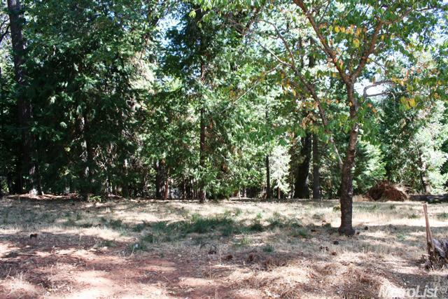 14726 Pammy Way, Grass Valley, CA 95949 photo 15