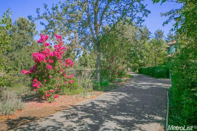 809 Kestrel Pl, Davis, CA 95616 photo 22