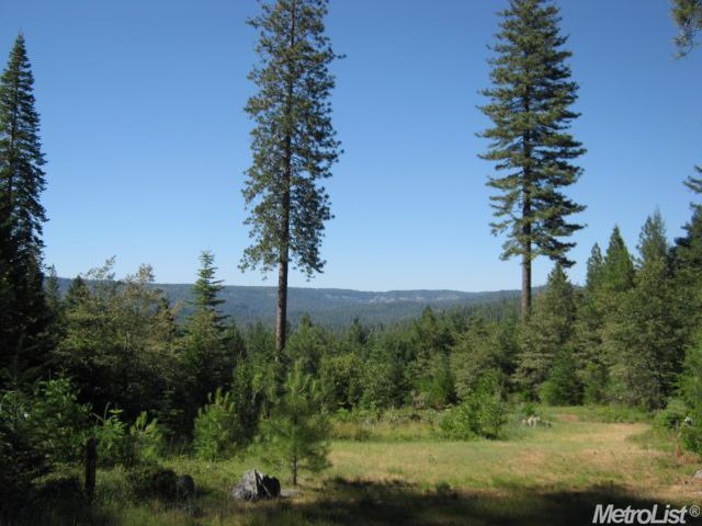 33205 Ridge Rd, Dutch Flat, CA 95714 photo 9