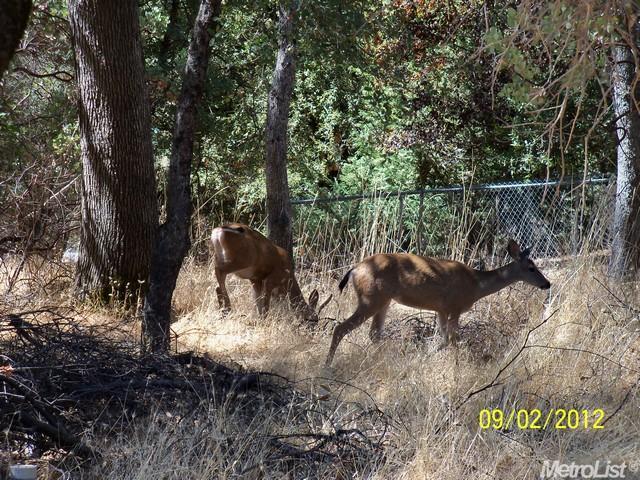 21716 El Puma Cir, Sonora, CA 95370 photo 8