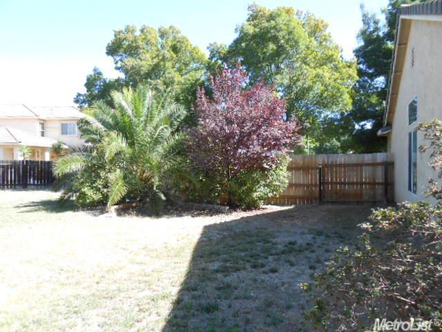 436 San Antonio, Williams, CA 95987 photo 20