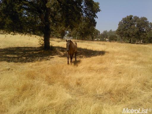 16956 Cabrera Rd, Grass Valley, CA 95949 photo 14