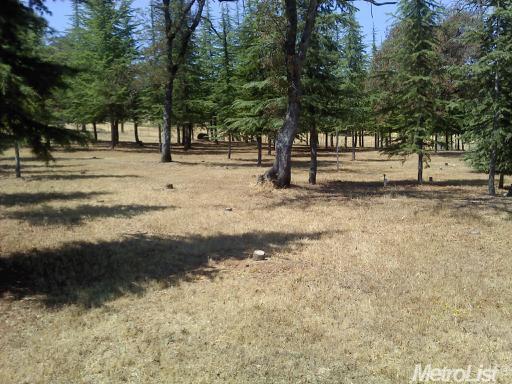 16956 Cabrera Rd, Grass Valley, CA 95949 photo 9