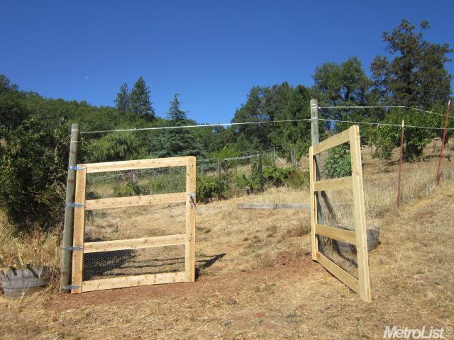 3280 Frank Bailey Ln, Placerville, CA 95667 photo 20