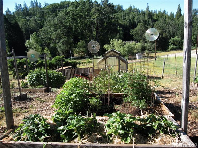 3280 Frank Bailey Ln, Placerville, CA 95667 photo 23