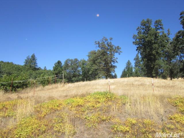 3280 Frank Bailey Ln, Placerville, CA 95667 photo 16