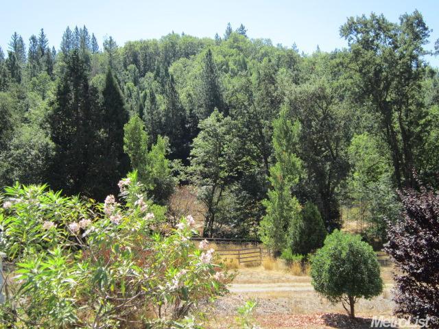 3280 Frank Bailey Ln, Placerville, CA 95667 photo 19