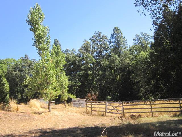 3280 Frank Bailey Ln, Placerville, CA 95667 photo 24