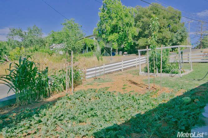 402 Sutter St, Folsom, CA 95630 photo 6