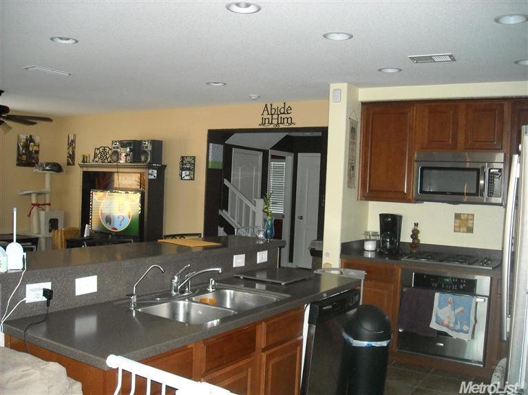 391 Renaissance Ave, Lathrop, CA 95330 photo 4