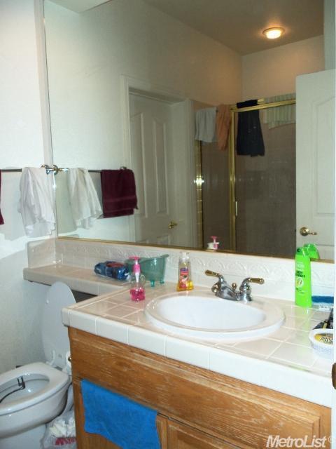 210 Marsh Hawk Dr, Folsom, CA 95630 photo 7