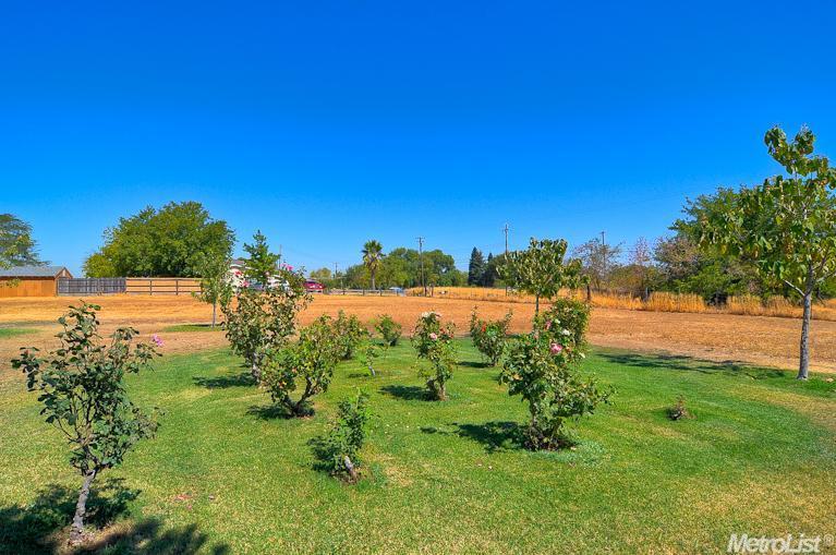 345 Elverta Meadows Ct, Elverta, CA 95626 photo 16