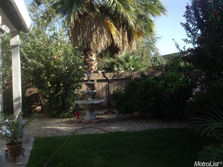 3620 N Olive Ave, Turlock, CA 95382 photo 13