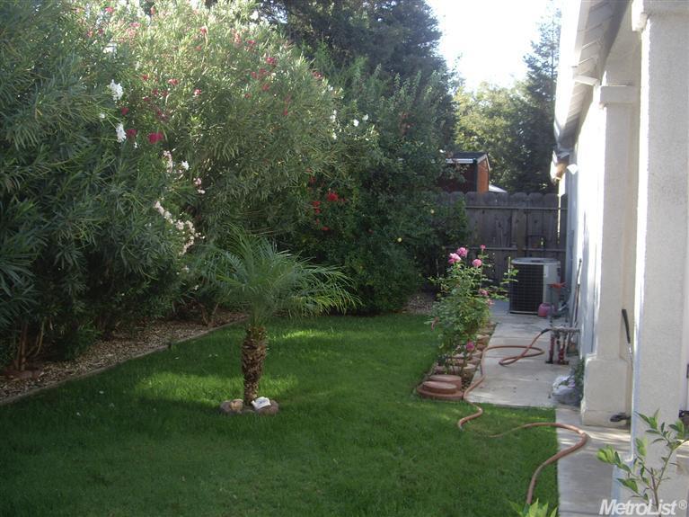 3620 N Olive Ave, Turlock, CA 95382 photo 12