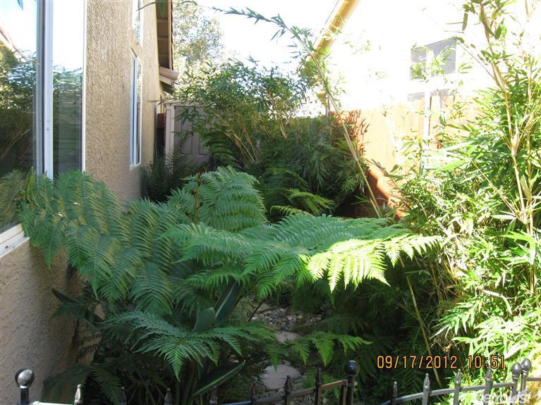 9075 Ducks Pond Way, Elk Grove, CA 95758 photo 20