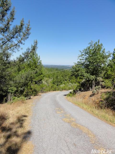 5800 Grey Fox Rd, Placerville, CA 95667 photo 15