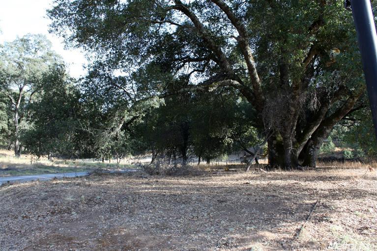 2855 Sand Ridge Rd, Placerville, CA 95667 photo 14