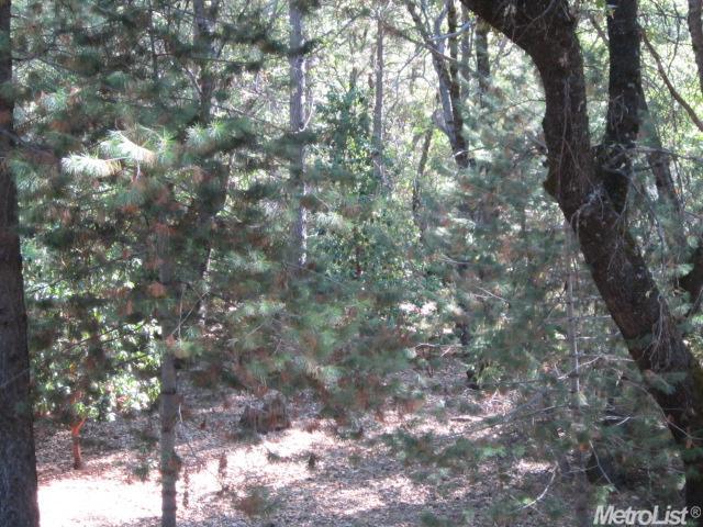 6321 Pine Needle Ln, Placerville, CA 95667 photo 16