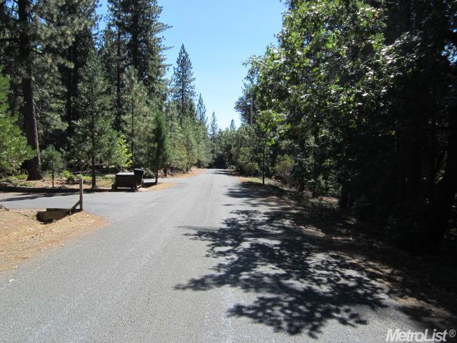 6321 Pine Needle Ln, Placerville, CA 95667 photo 2