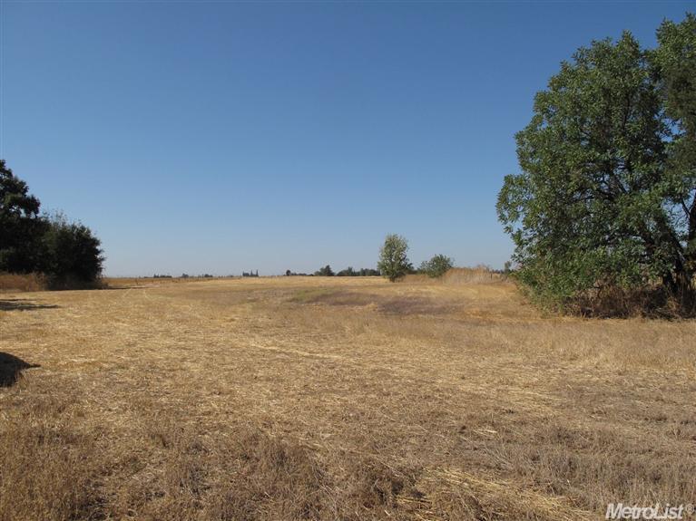 9755 Grant Line Rd, Elk Grove, CA 95624 photo 20