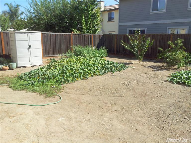 854 Trestle, Lathrop, CA 95330 photo 22