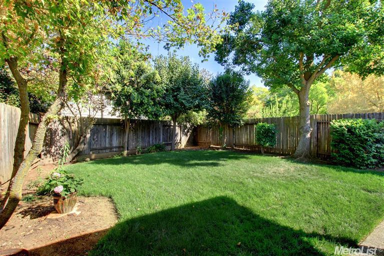 1111 Pamplona Ave, Davis, CA 95616 photo 19