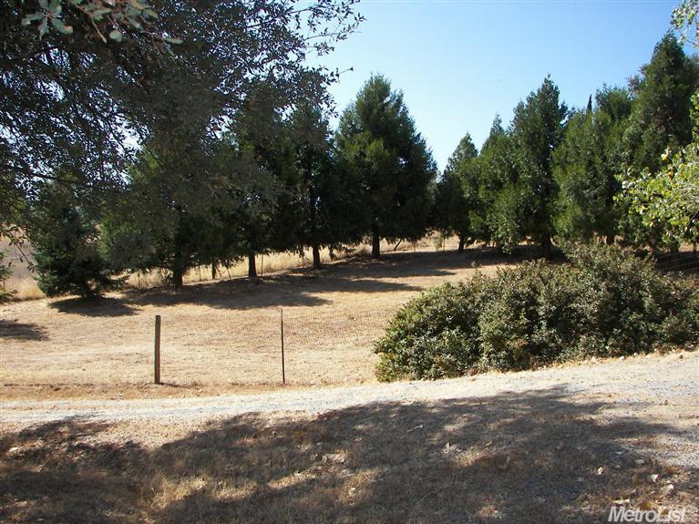 3440 Cherry Acres Rd, Cool, CA 95614 photo 24