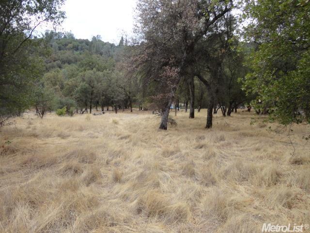 10736 Wolf Dr, Grass Valley, CA 95949 photo 9